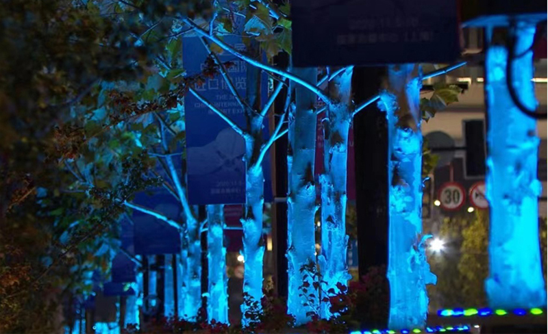 進(jìn)博會(huì)淶港路02.jpg