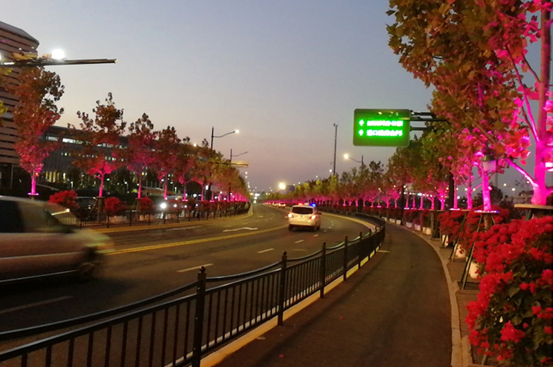 進(jìn)博會(huì)淶港路.jpg